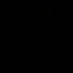 Meet your Posher, Tony